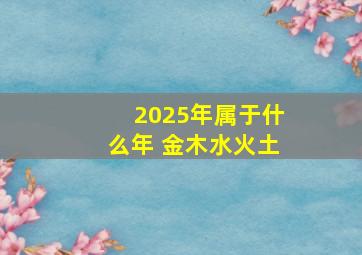 2025年属于什么年 金木水火土